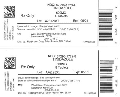 tinidazole 1729.jpg LABEL - tinidazole 1729